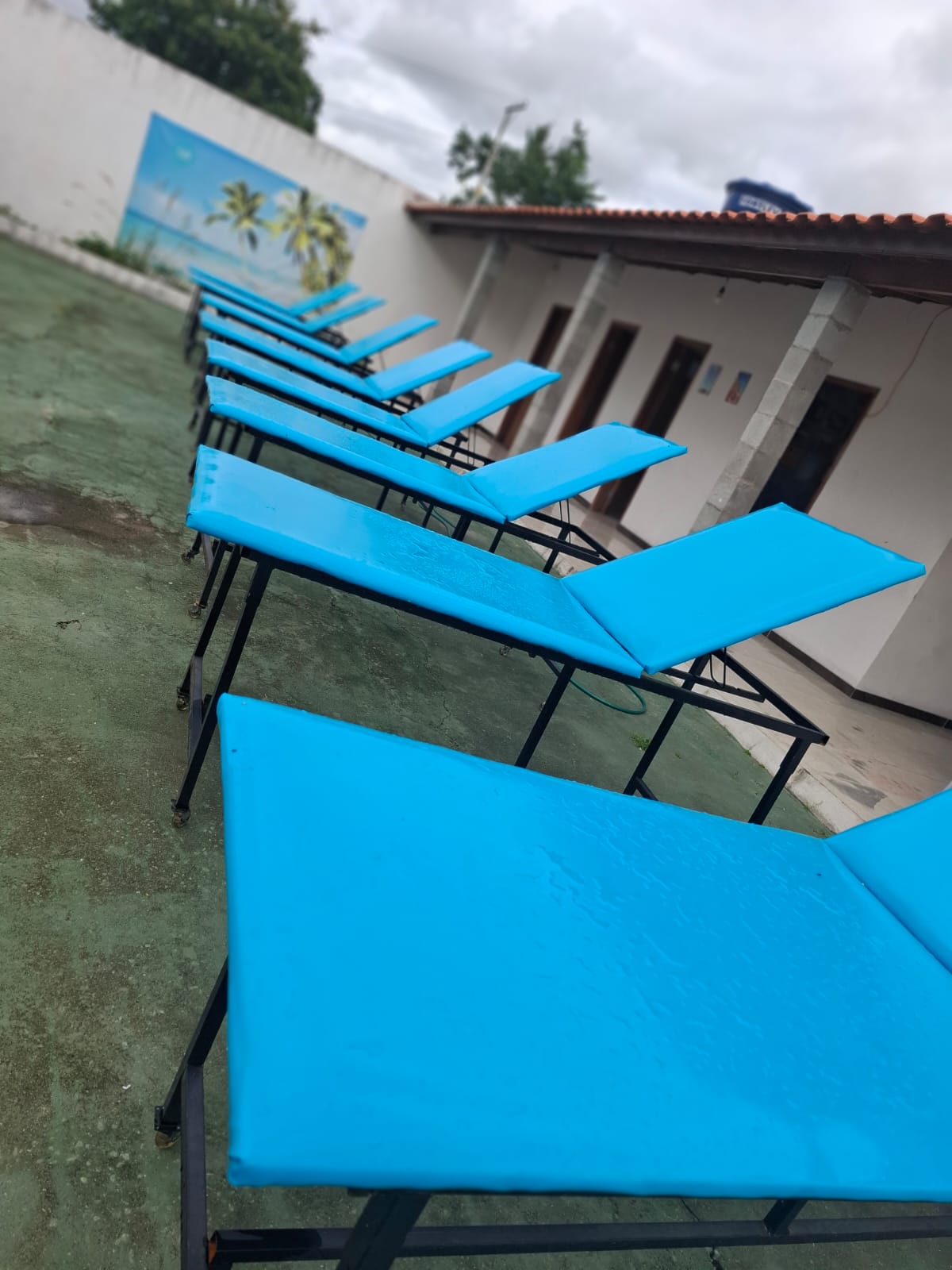 Mural de coqueiros
